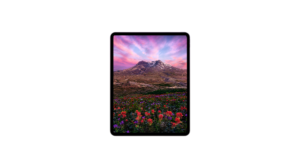 iPad Pro 11 inch M4 - 2024