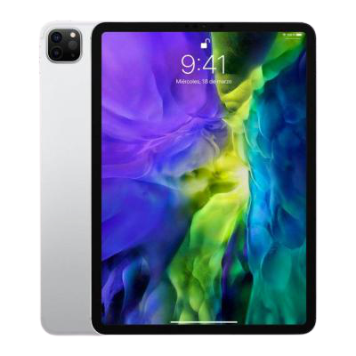 iPad Pro 11 inch 2nd Gen (2020)